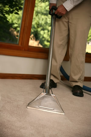 Carpet Cleaning in Los Angeles