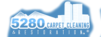 Professional Carpet Cleaning Service