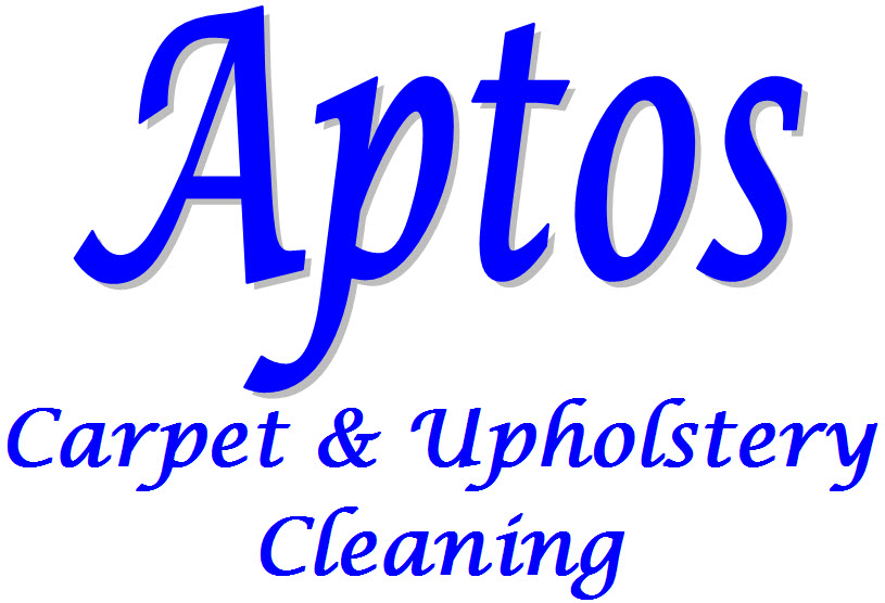 Professional Carpet Cleaning Service