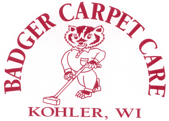 Professional Carpet Cleaning Service