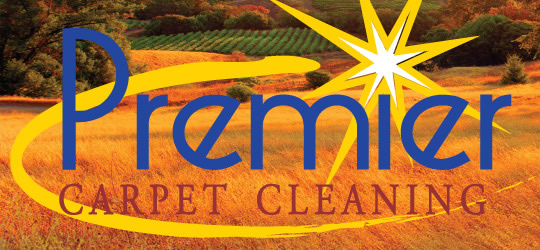 Professional Carpet Cleaning Service