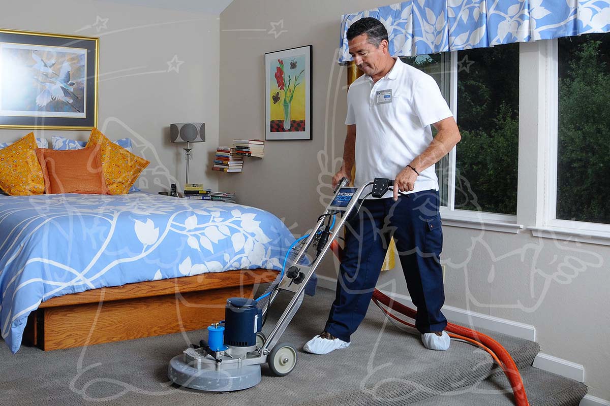 Cleaning Process Steps Photo Example for Your Carpet Cleaning Business