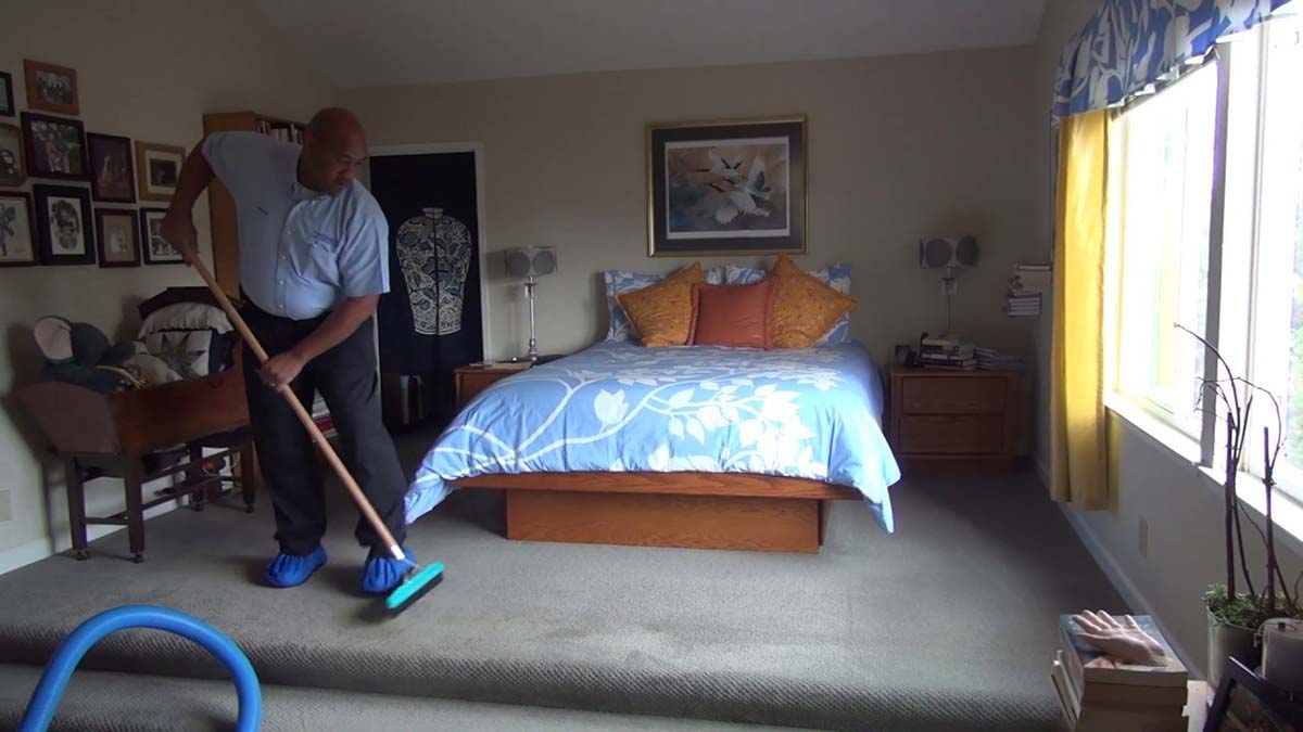 The Carpet Grooming Scene For Your Carpet Cleaning Marketing Video