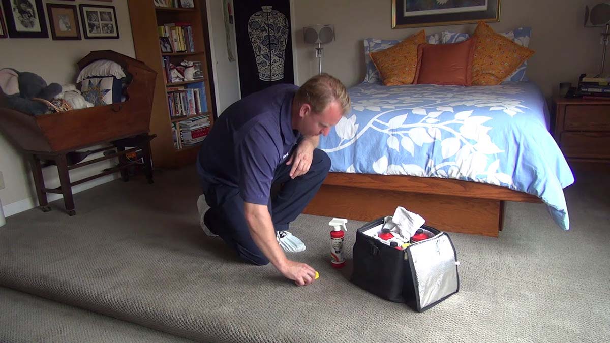 The Spot Cleaning Scene For Your Carpet Cleaning Marketing Video