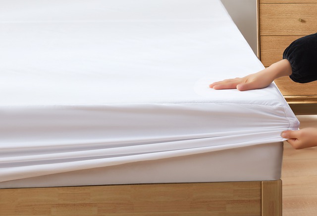 Clean Bedding is Free of Dust Mites and Bed Bugs