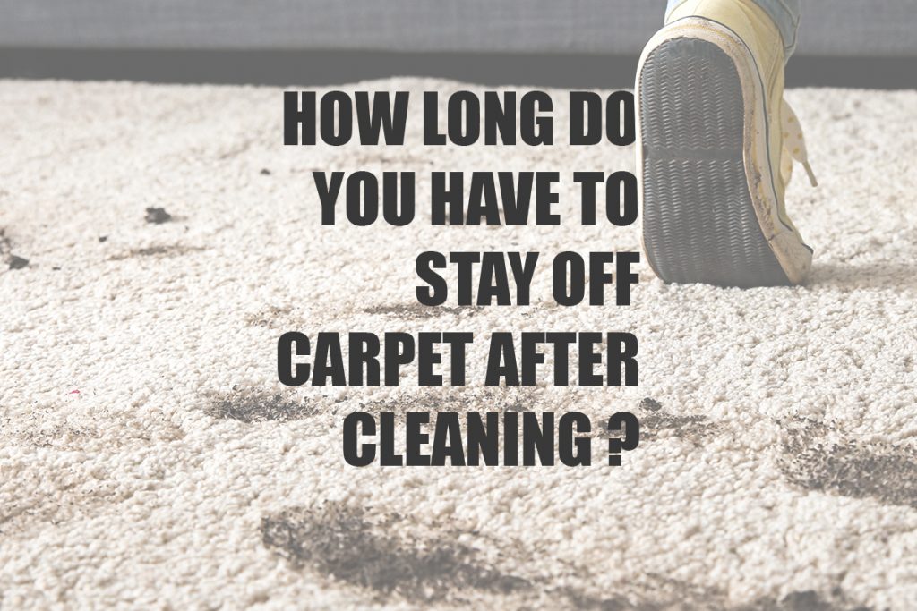How long should I wait to walk on cleaned carpet