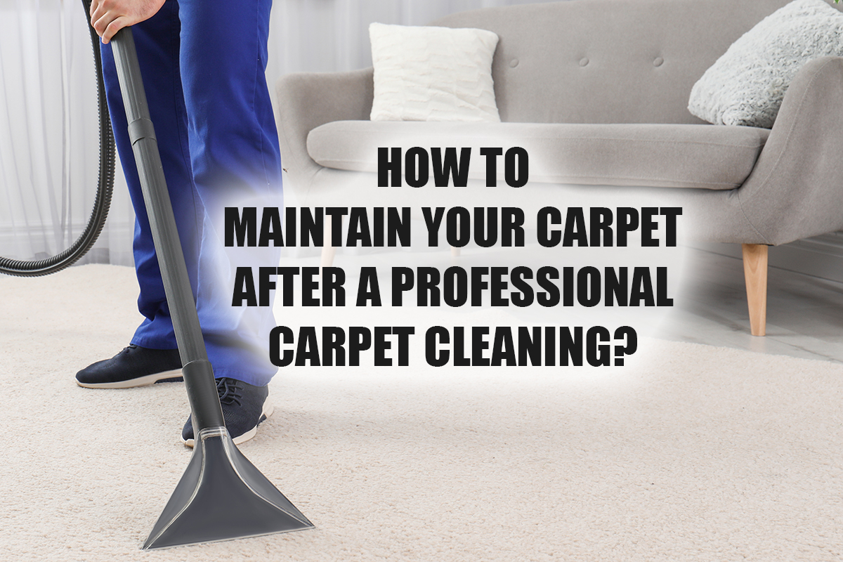 How to maintain your carpet after a professional carpet cleaning?