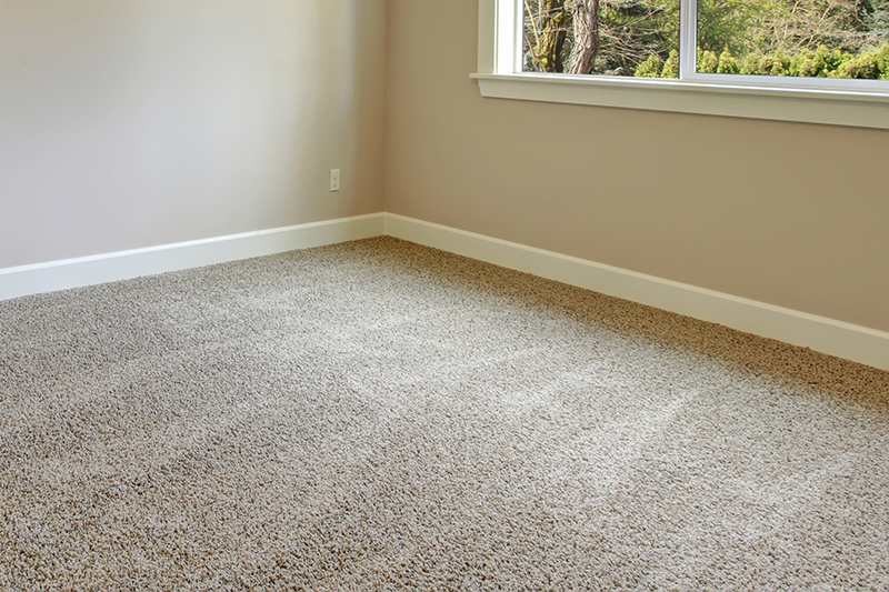 Carpet Cleaning Expectations