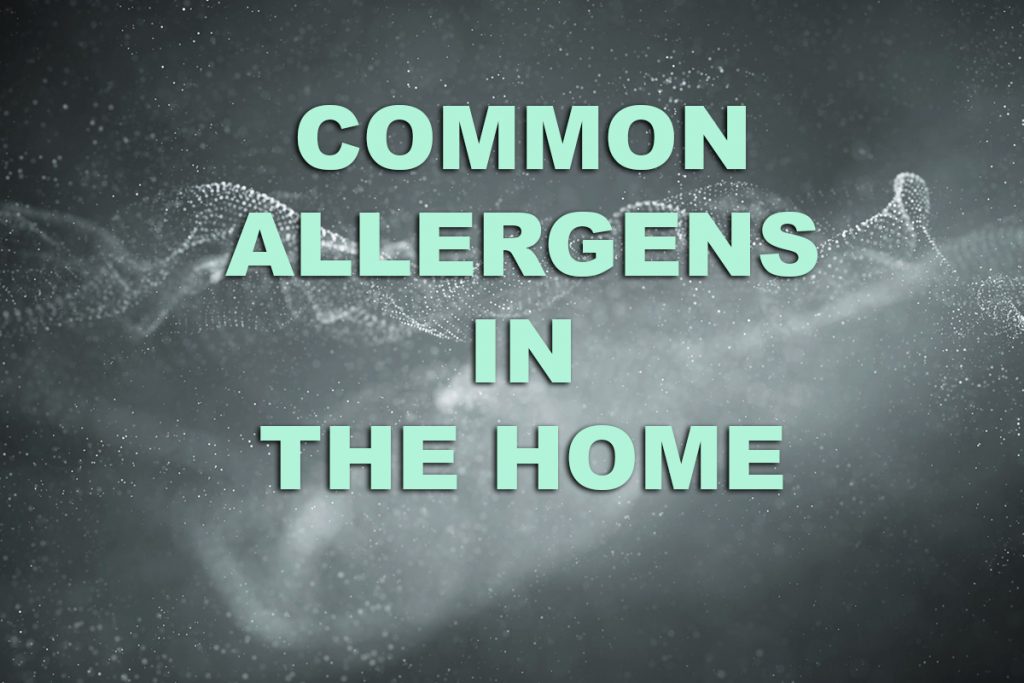 Common Allergens in The Home